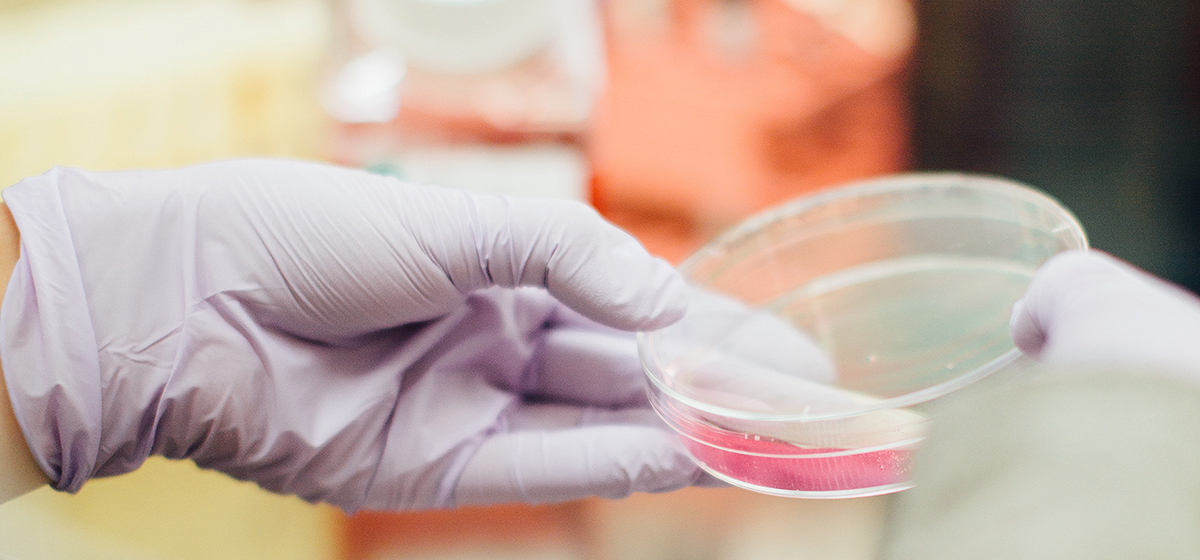 biotecnología sector