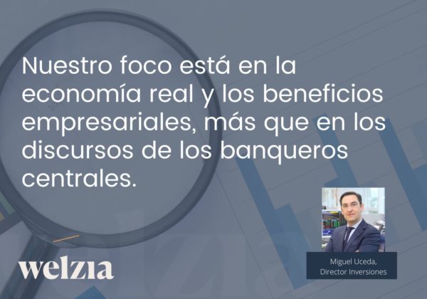 welzia informe mensual 2023